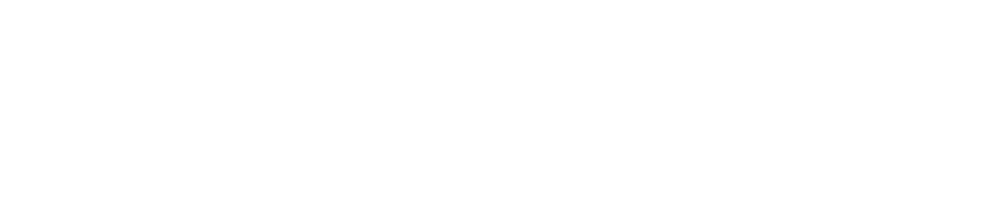 Italian Services and Solutions